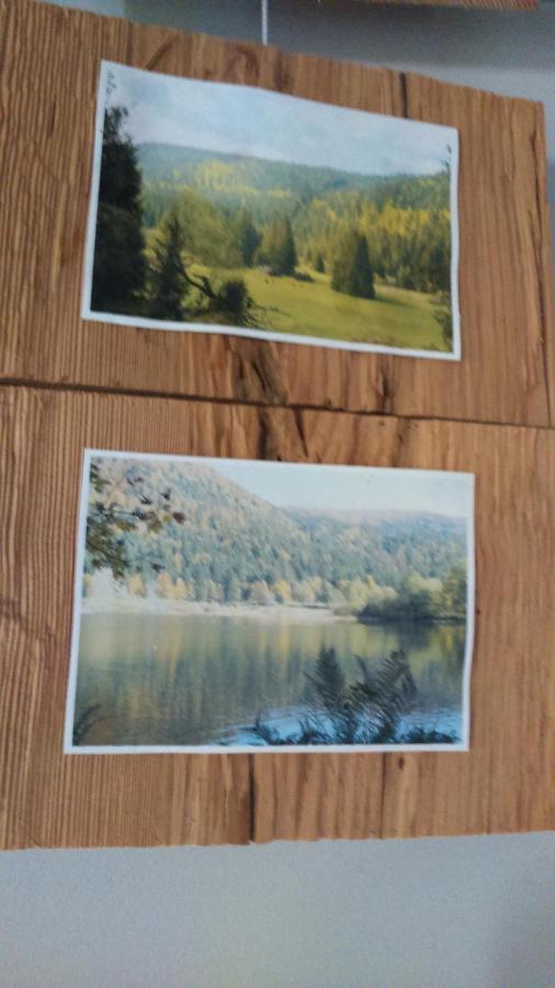Spa Et Sauna Xonrupt-Longemer Exteriör bild